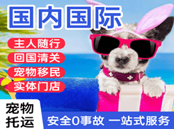 唐山空运国际宠物托运 【国